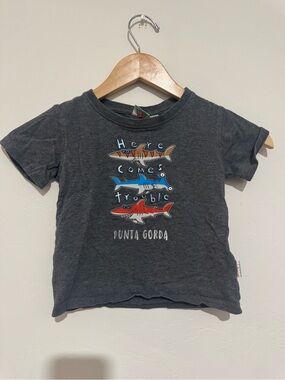 Earth Nymph Boys Shark Tee Size 2 Here Comes Trouble Punta Gorda Gray Beach